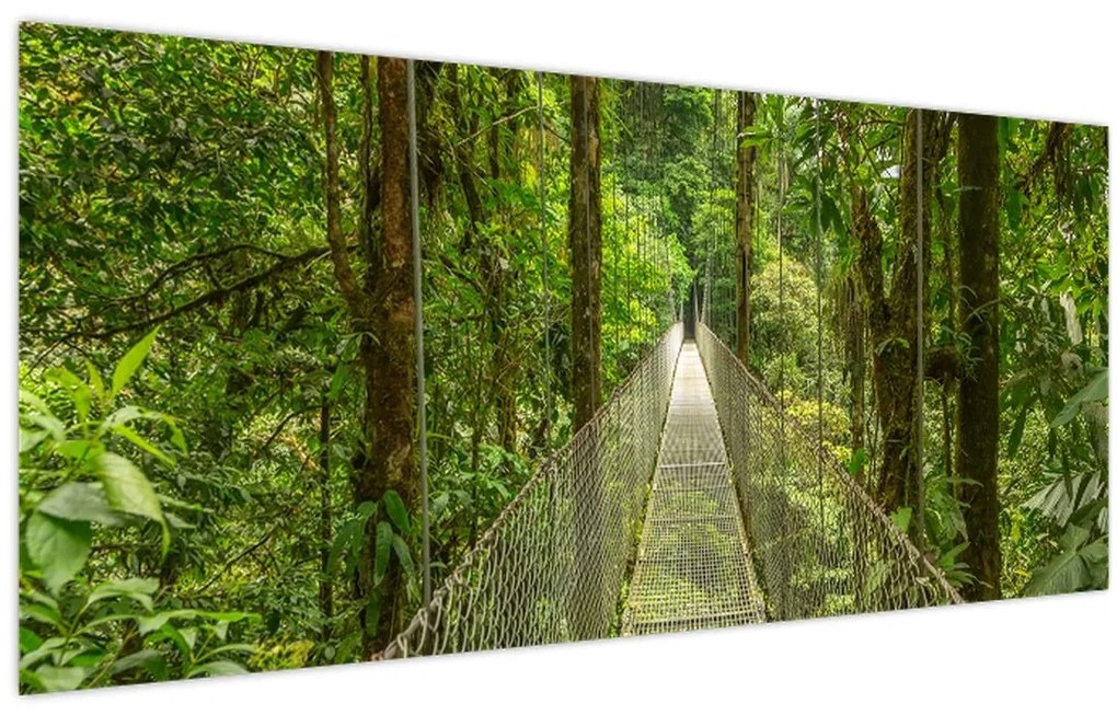 Tablou - Pod suspendat (120x50 cm)