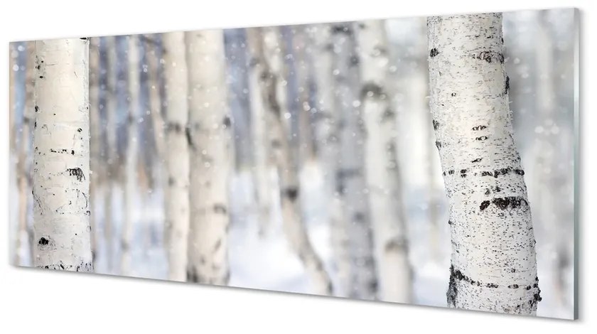 Tablouri pe sticlă Copaci de zăpadă de iarnă