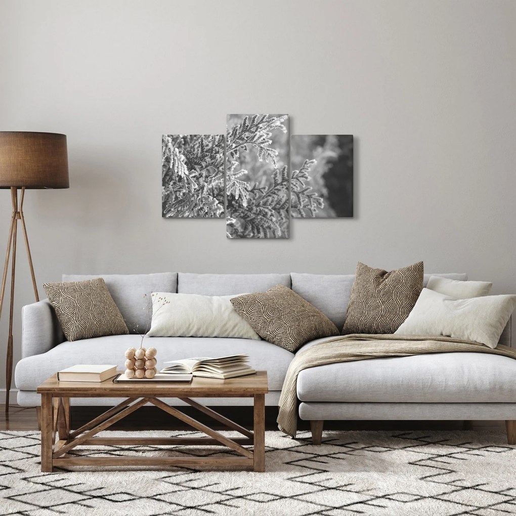 Tablou - Pădure de molid (90x60 cm)