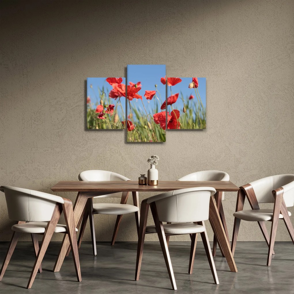 Tablou - Maci (90x60 cm)