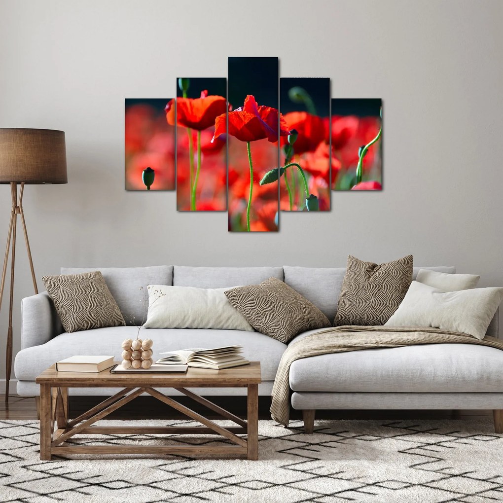 Tablou - flori de maci (150x105 cm)