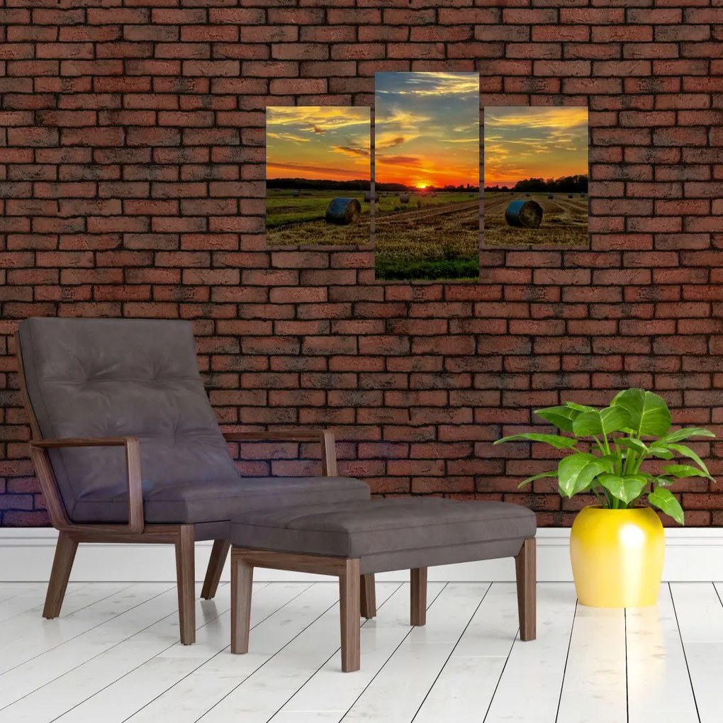 Tablou - Baloți din sat (90x60 cm)