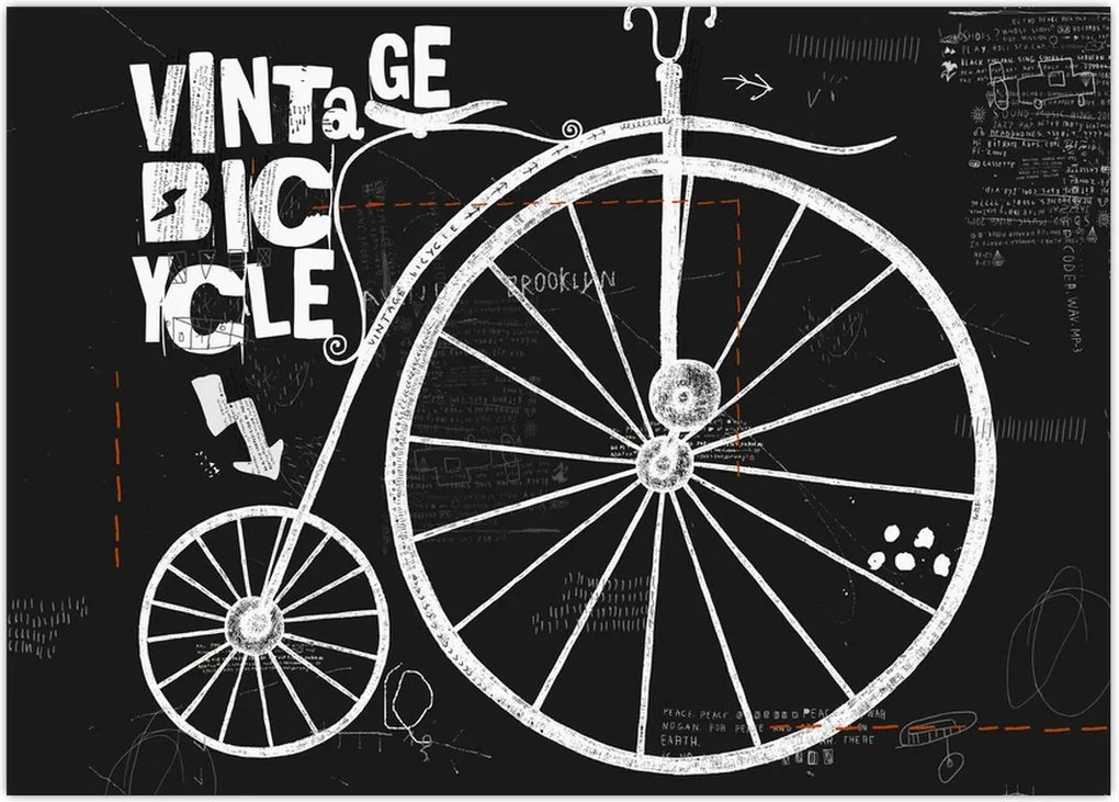 Tablou - Velociped (70x50 cm)