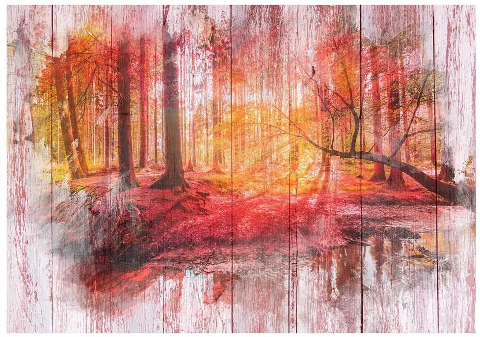 Fototapet - Autumnal Forest