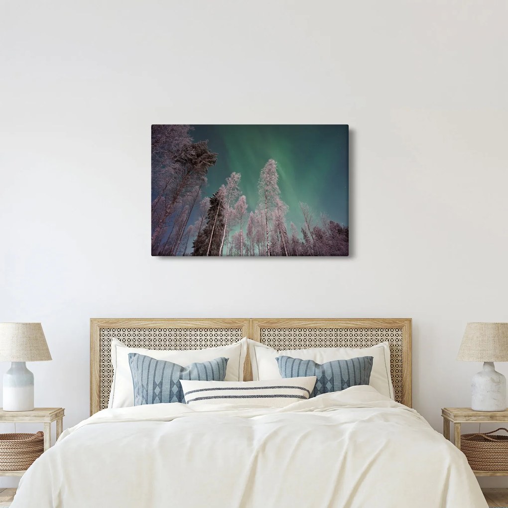 Tablou cu aurora borealis deasupra pomilor înghețați (90x60 cm)
