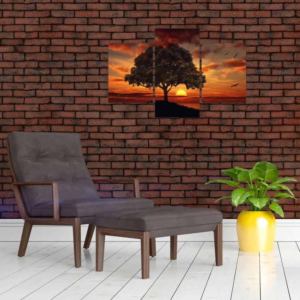 Tablou cu pomi și apus de soare (90x60 cm)