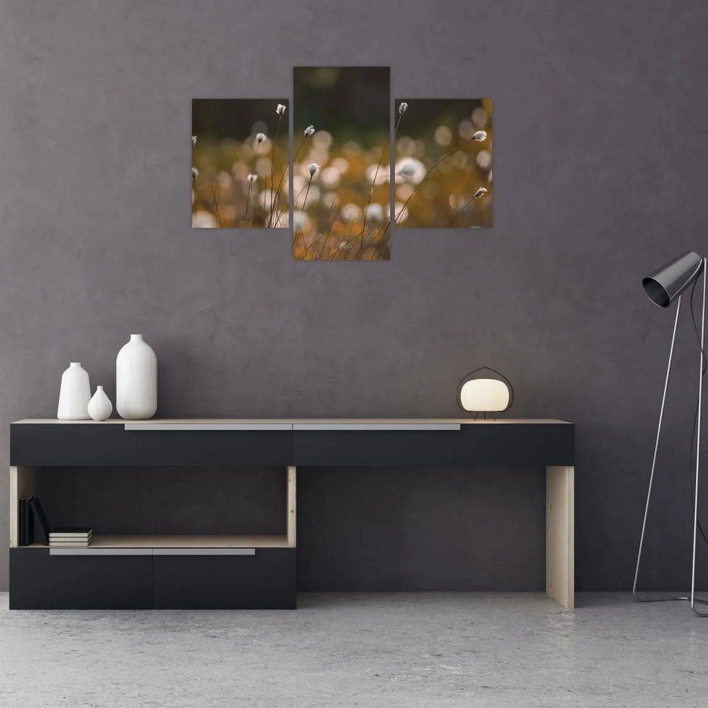 Tablou - Pajiște cu iarbă de cozonac N⁰2 (90x60 cm)