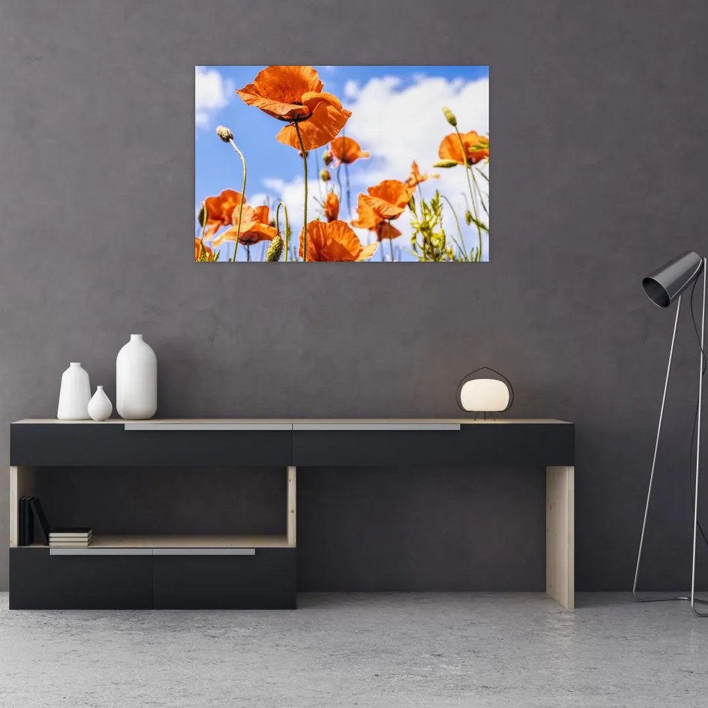 Tablou cu macii (90x60 cm)