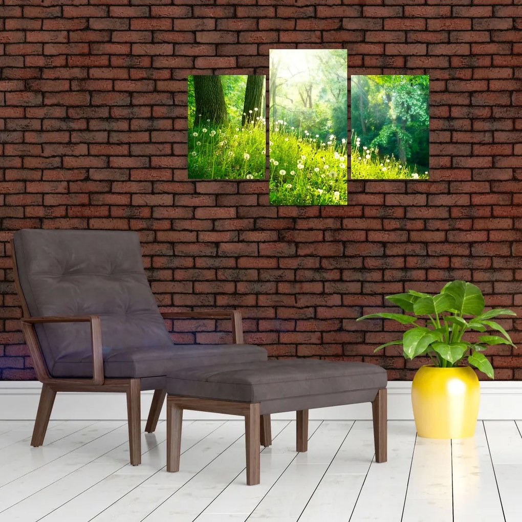 Tablou - Pajiște magică plină de păpădii (90x60 cm)