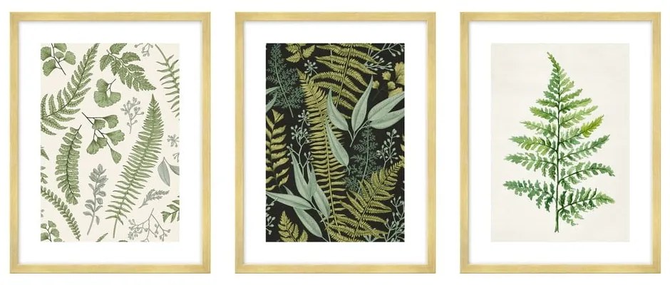 Poster 30x40 cm Fern