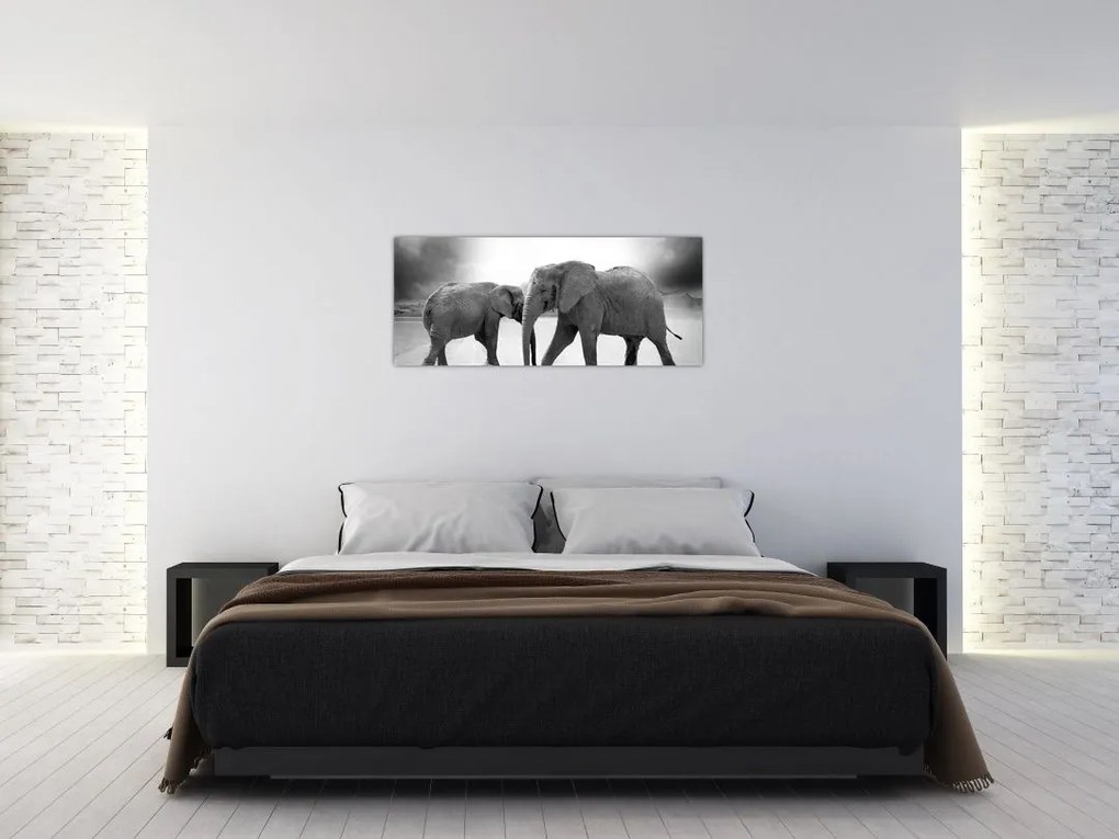 Tablou cu elefanți (120x50 cm)