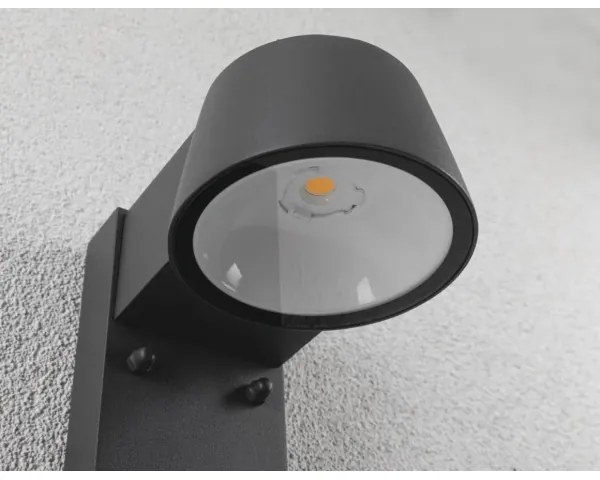 Aplică de exterior cu senzor Paulmann 94714 LED/6W IP44 CAPERA 230V