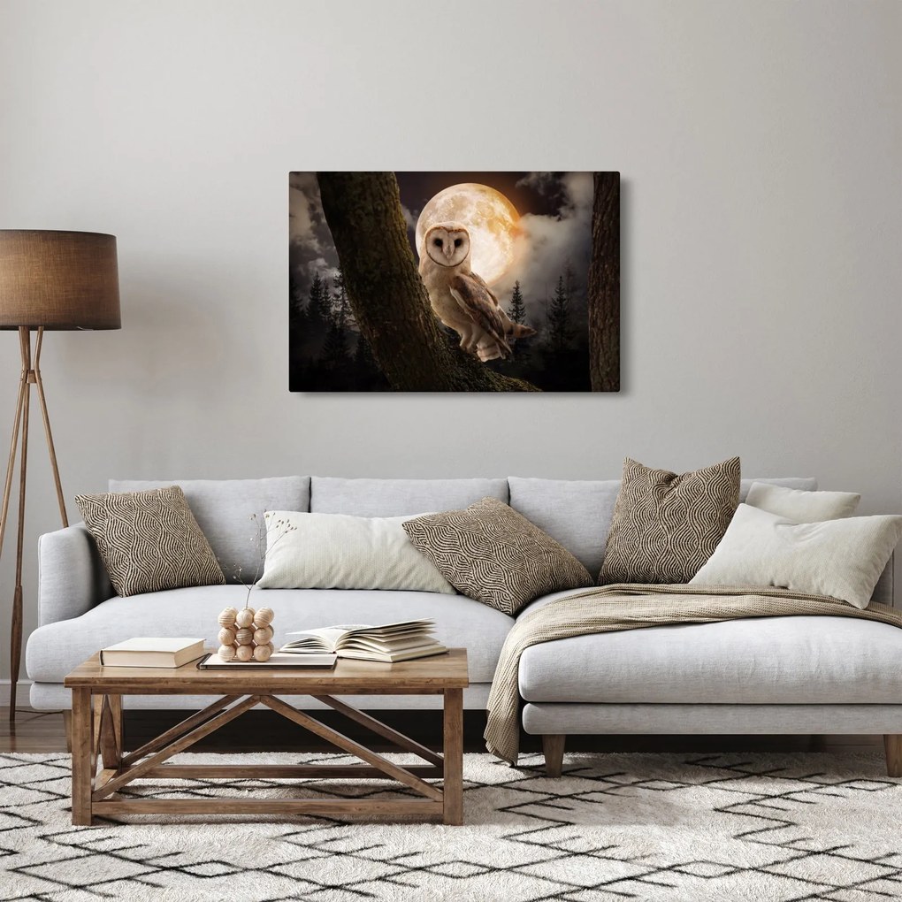 Tablou cu bufnița (90x60 cm)