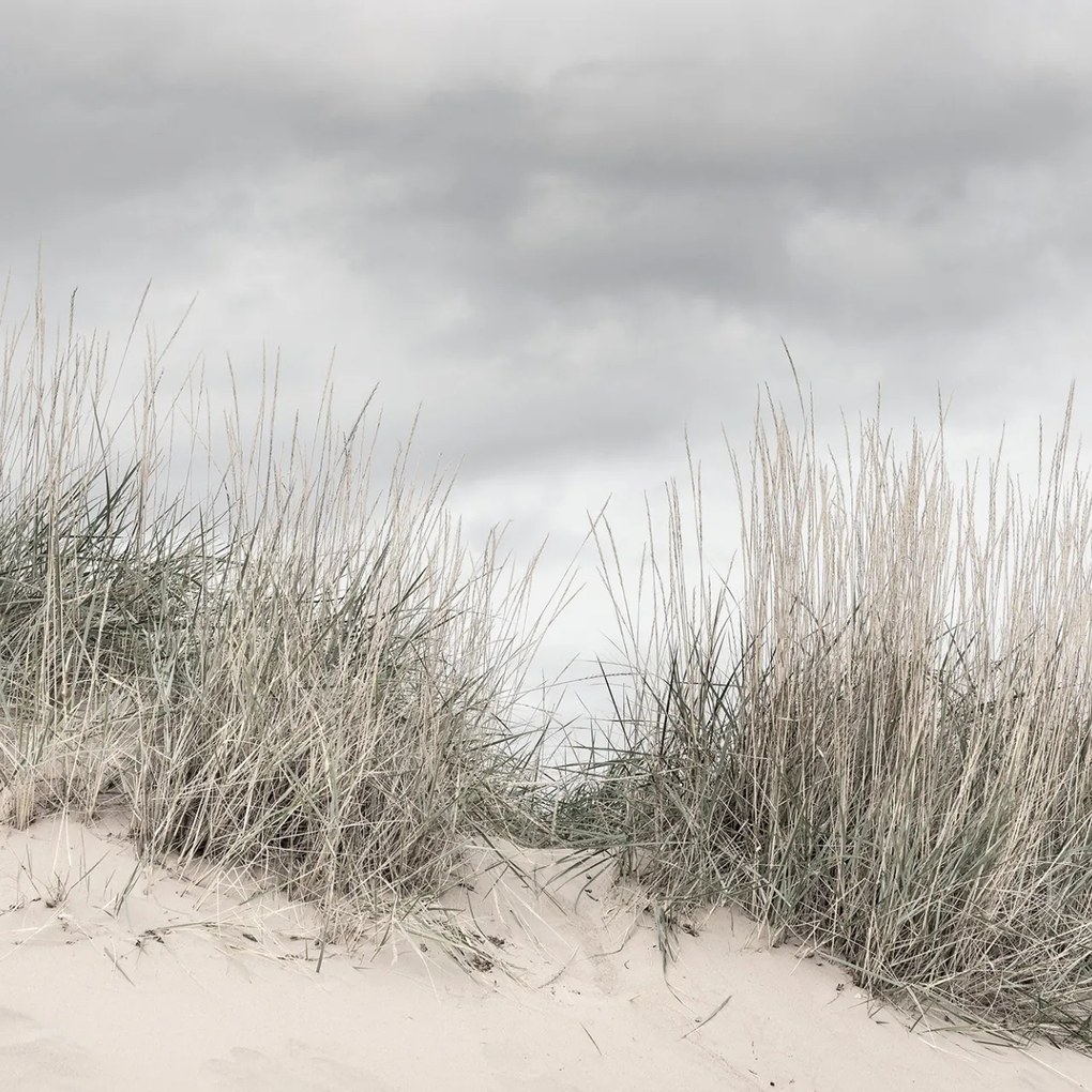 Fototapet, Pale Shore, Rebel Walls