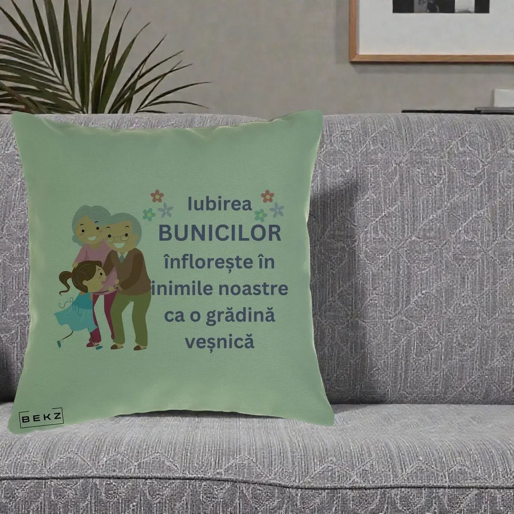 Perna personalizata bunici: Iubirea bunicilor, cu nepoata, text mov, 40x40 cm cu Umplutura, Verde, BEKZ