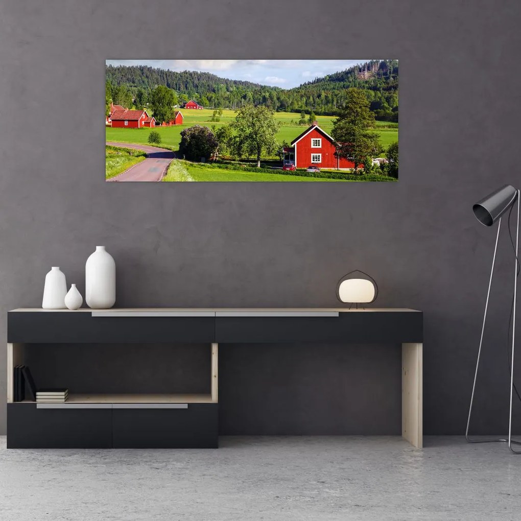 Tabloul cu țară (120x50 cm)