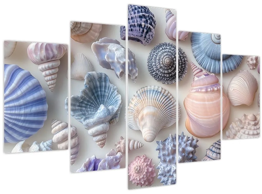 Tablou - Colecție de scoici (150x105 cm)