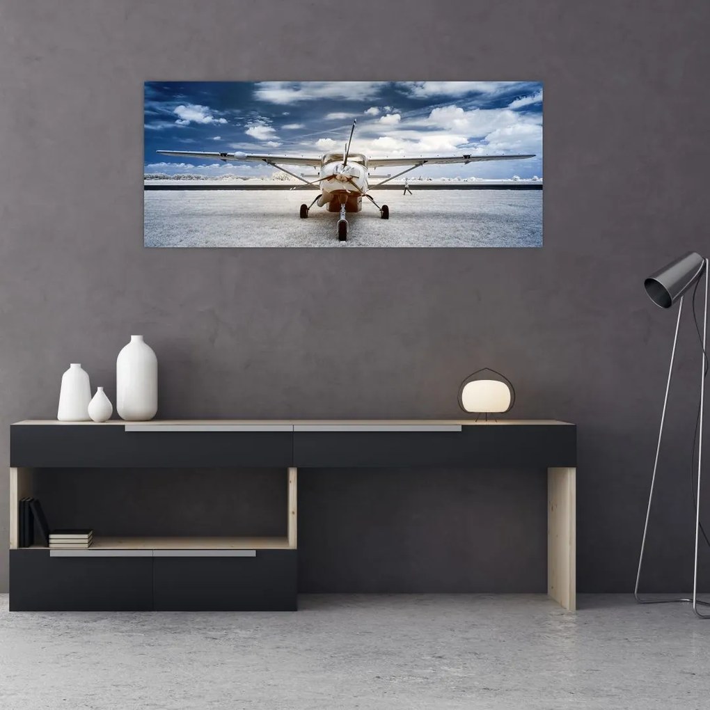 Tablou cu aeroplan cu motor (120x50 cm)