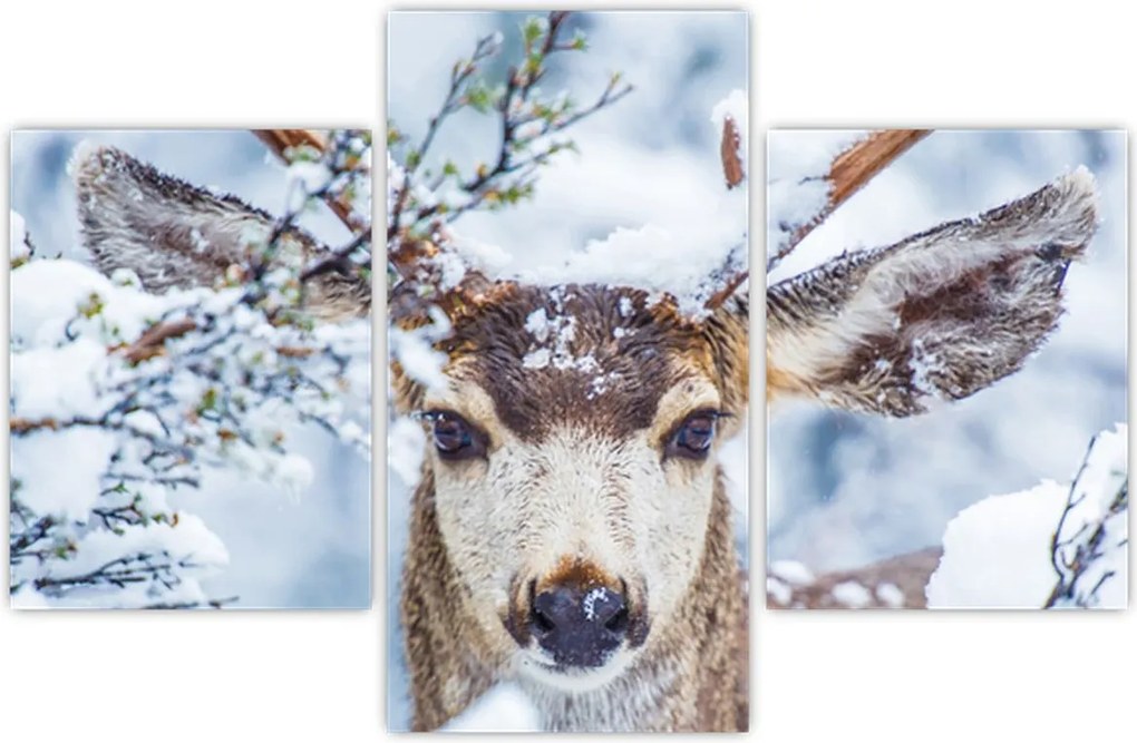 Tablou - Cerbul catâr (90x60 cm)