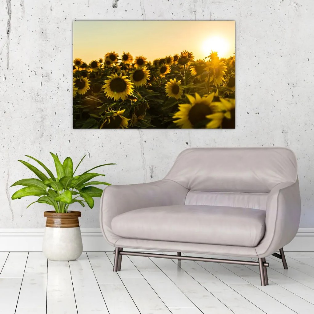 Tablou cu lan de floarea soarelui (90x60 cm)