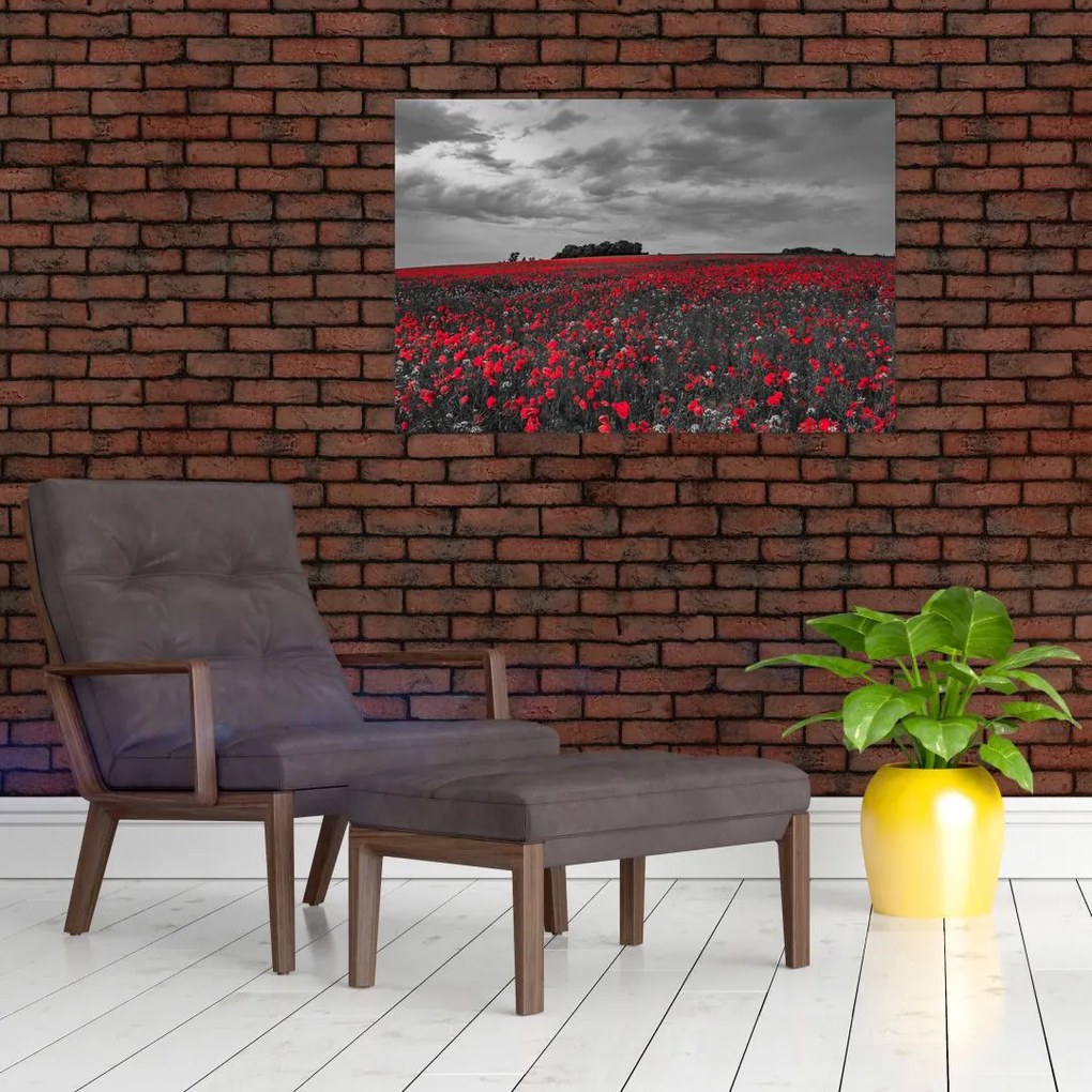 Tablou cu maci (90x60 cm)