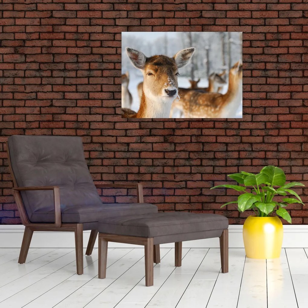 Tablou - Cerbi (70x50 cm)