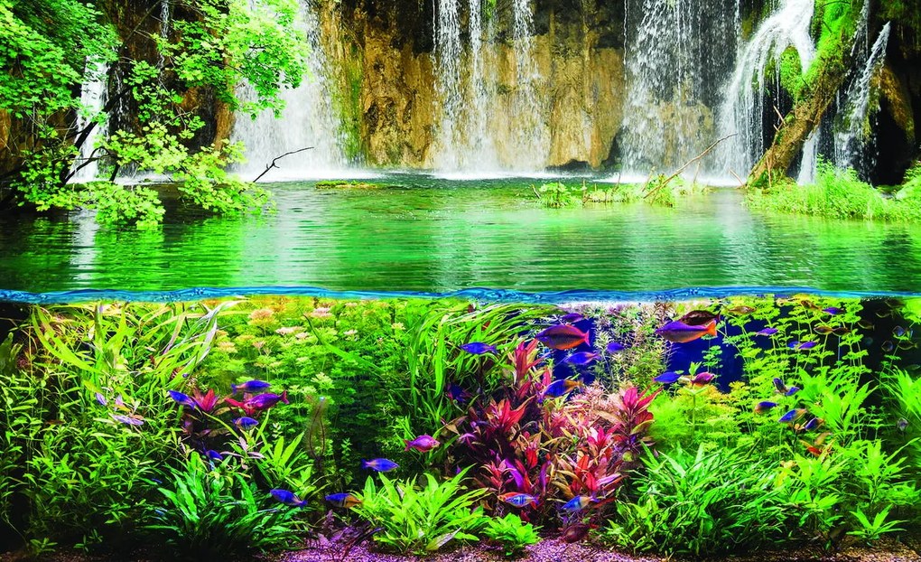 Fototapet - Plantele pești și cascada (152,5x104 cm)