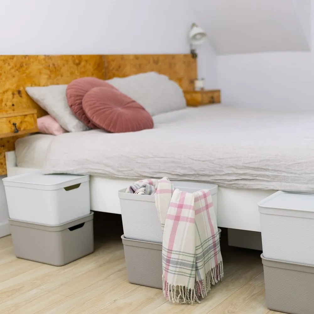 Cutie de depozitare din plastic cu capac Deco - Rotho