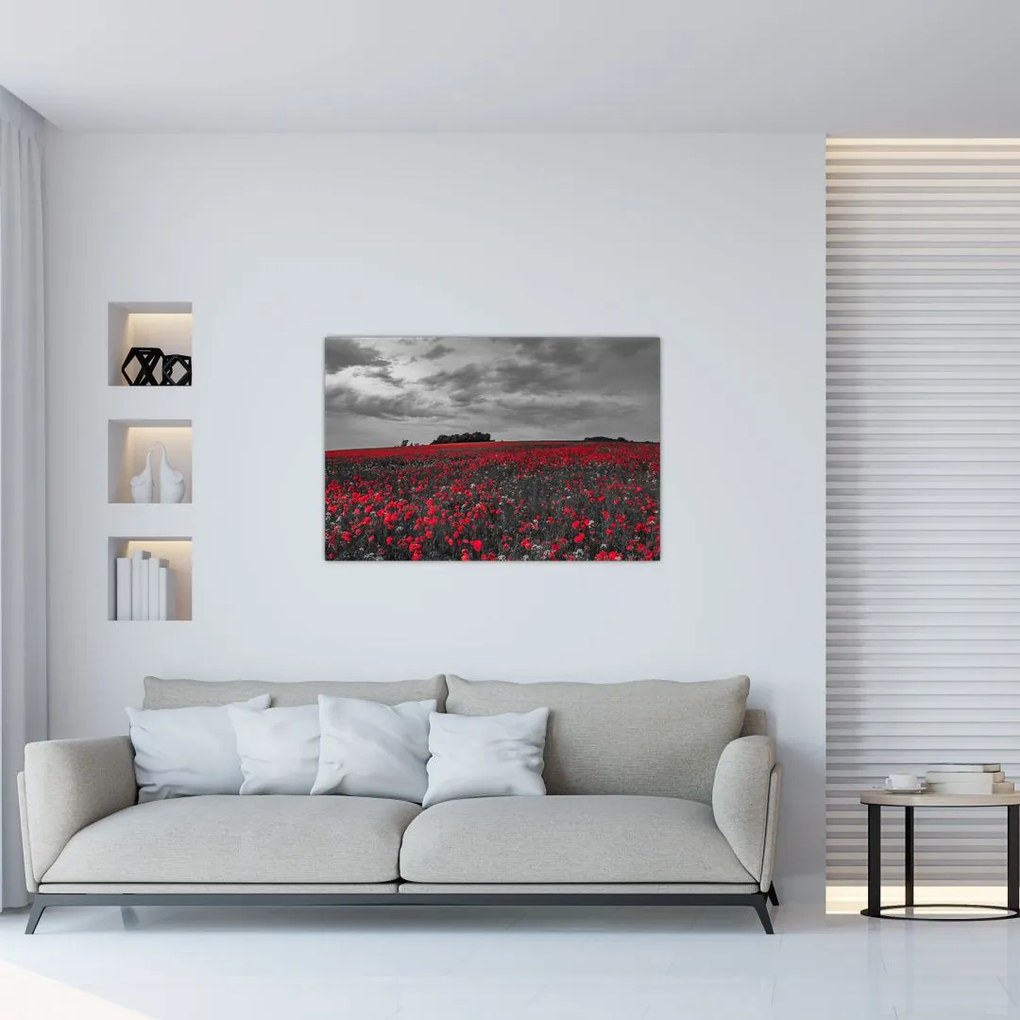 Tablou cu maci (90x60 cm)