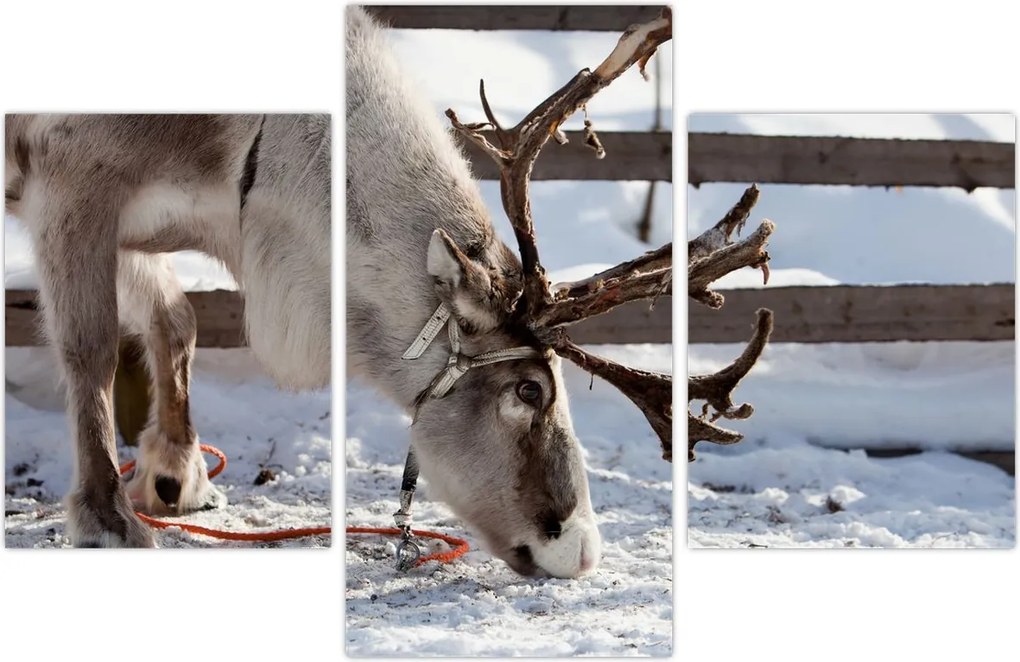 Tablou - Sâmbătă (90x60 cm)