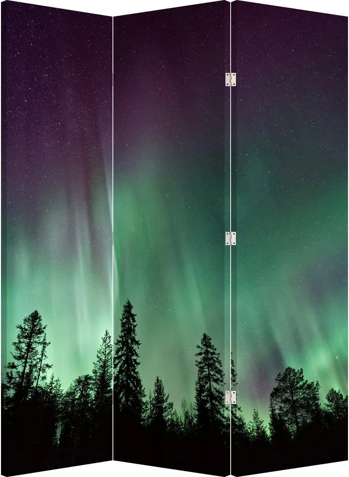 Paravan - Northern Lights (126x170 cm)