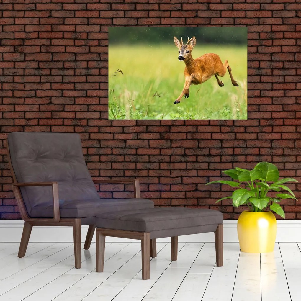 Tablou - Haită (90x60 cm)