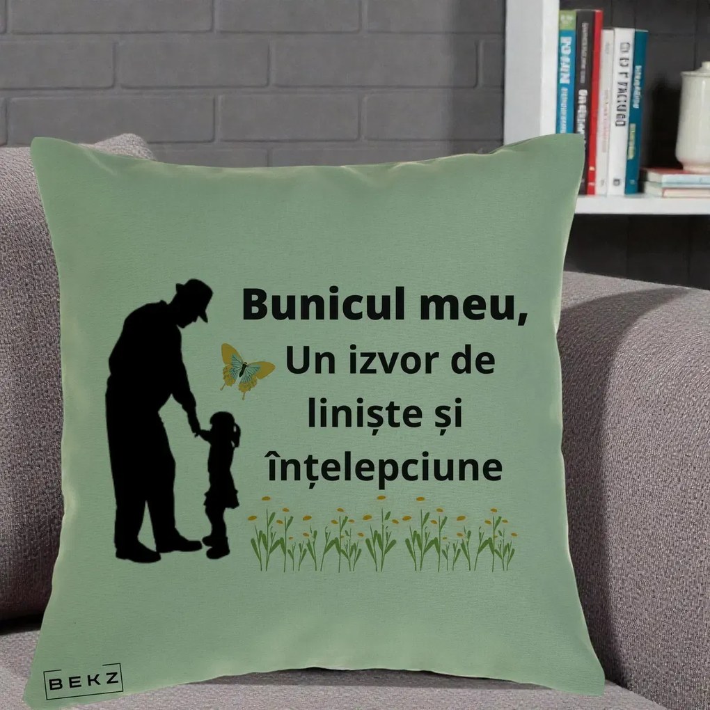 Cadou pentru Bunic - Perna Personalizata Bunicul Meu Izvor de Liniste cu Fluture si Fetita, 40x40 cm, Verde, Husa Detasabila, Perna Inclusa, BEKZ®