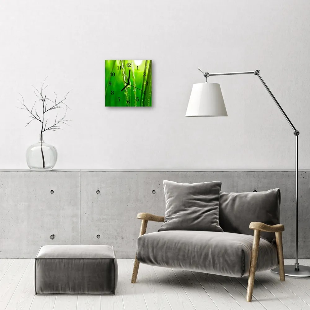 Ceas de perete din sticla pătrat Iarbă Drops Flori și plante verzi