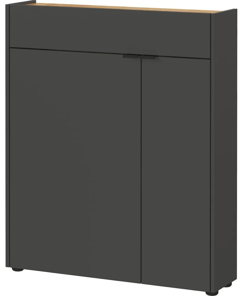Dulap gri antracit 82x102x22 cm Ameca – Germania