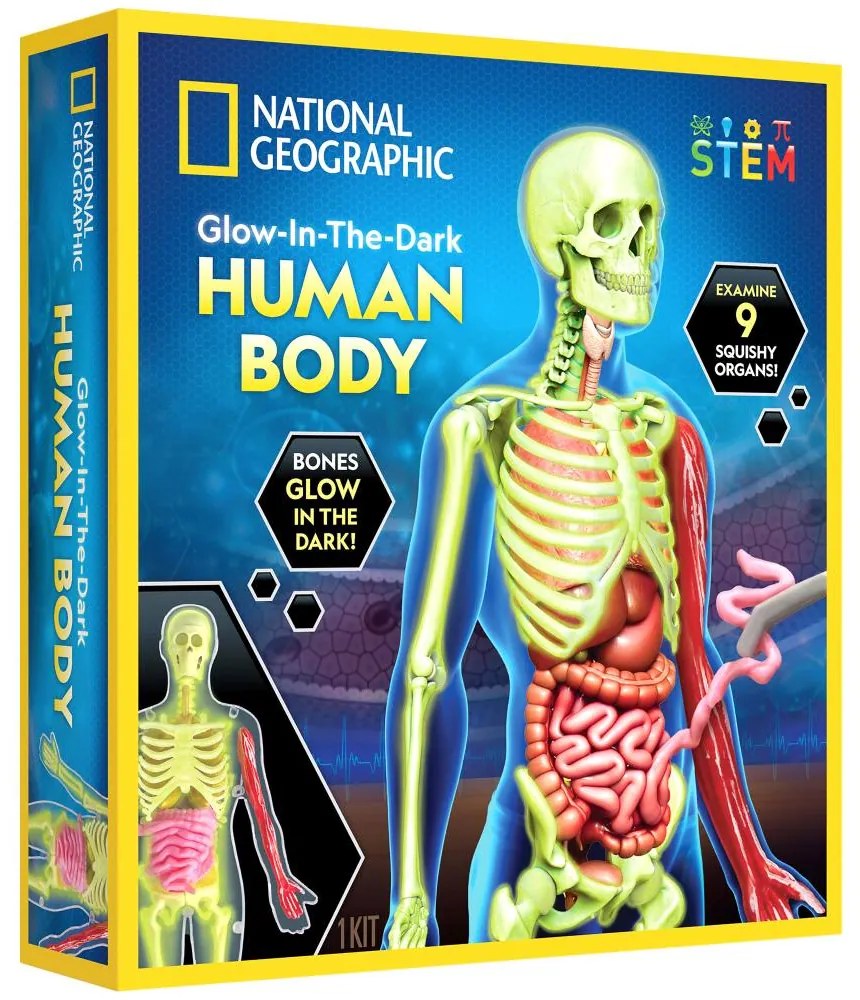 NATIONAL GEOGRAPHIC - KIT CREATIV STIINTA CORPULUI UMAN - NATIONAL GEOGRAPHIC (NG23050)