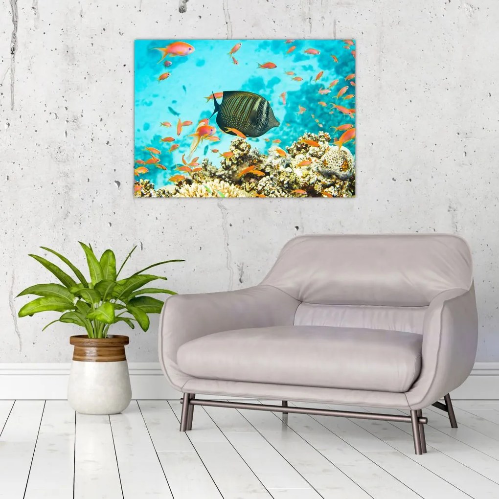 Tablou pe sticlă lumii submarine (70x50 cm)
