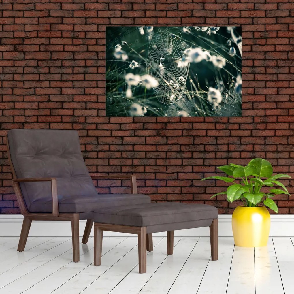 Tablou - Pânză de păianjen (90x60 cm)