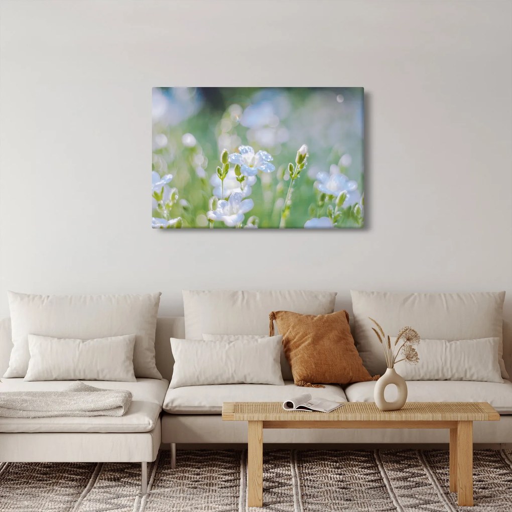 Tablou - Flori delicate (90x60 cm)