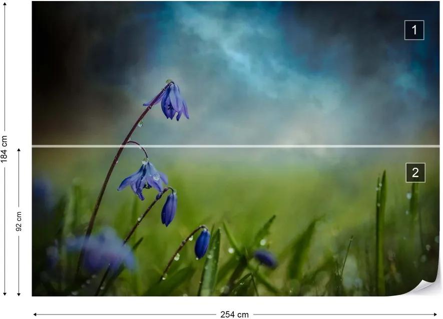 Fototapet GLIX - After The Spring Rain + adeziv GRATUIT Tapet nețesute - 254x184 cm