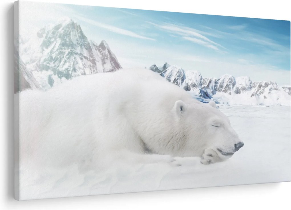 Tablou - Urs polar (90x60 cm)