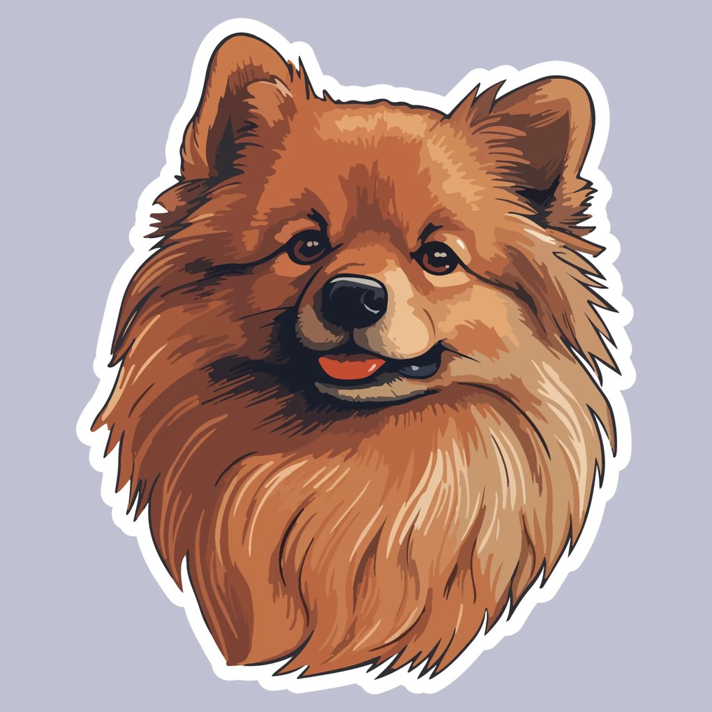 PIPPER. Autocolant Pomeranian mărimea: 60cm