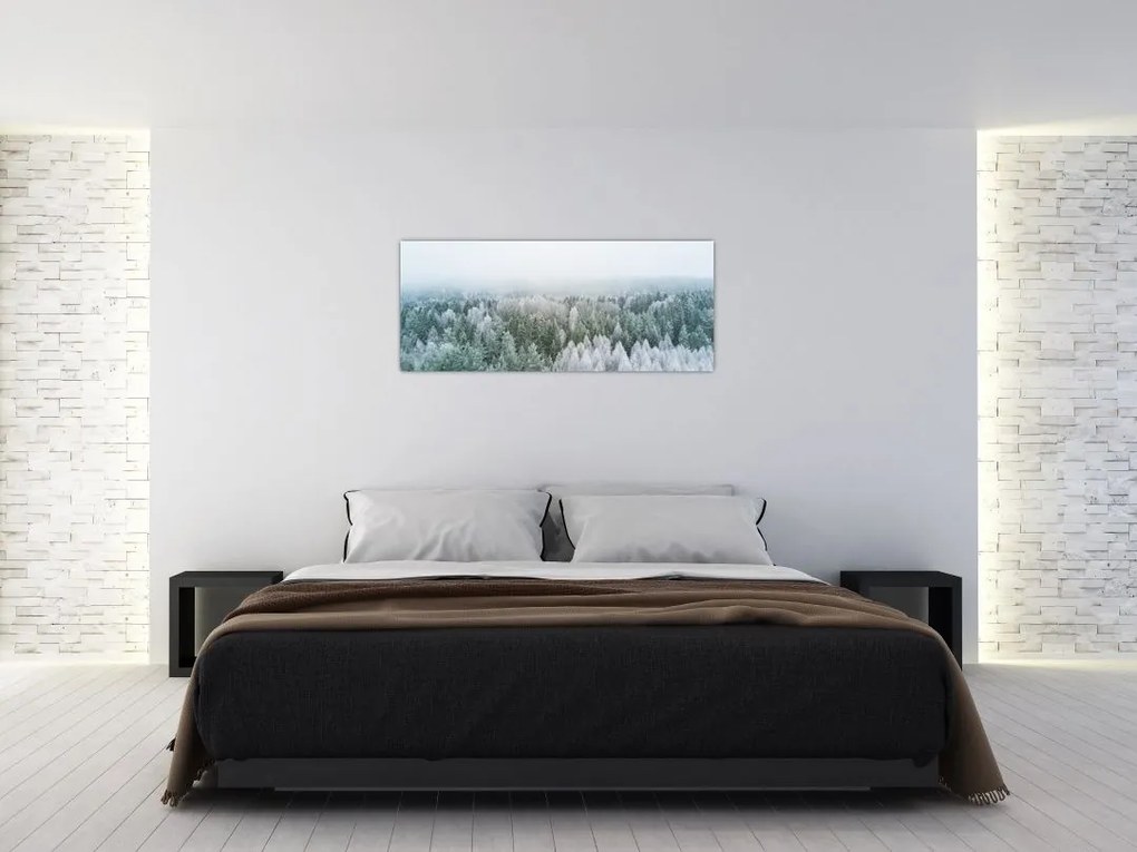 Tablou - Crestele munțillor înzăpezite (120x50 cm)