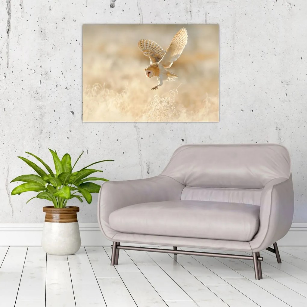 Tablou - Bufniță (70x50 cm)