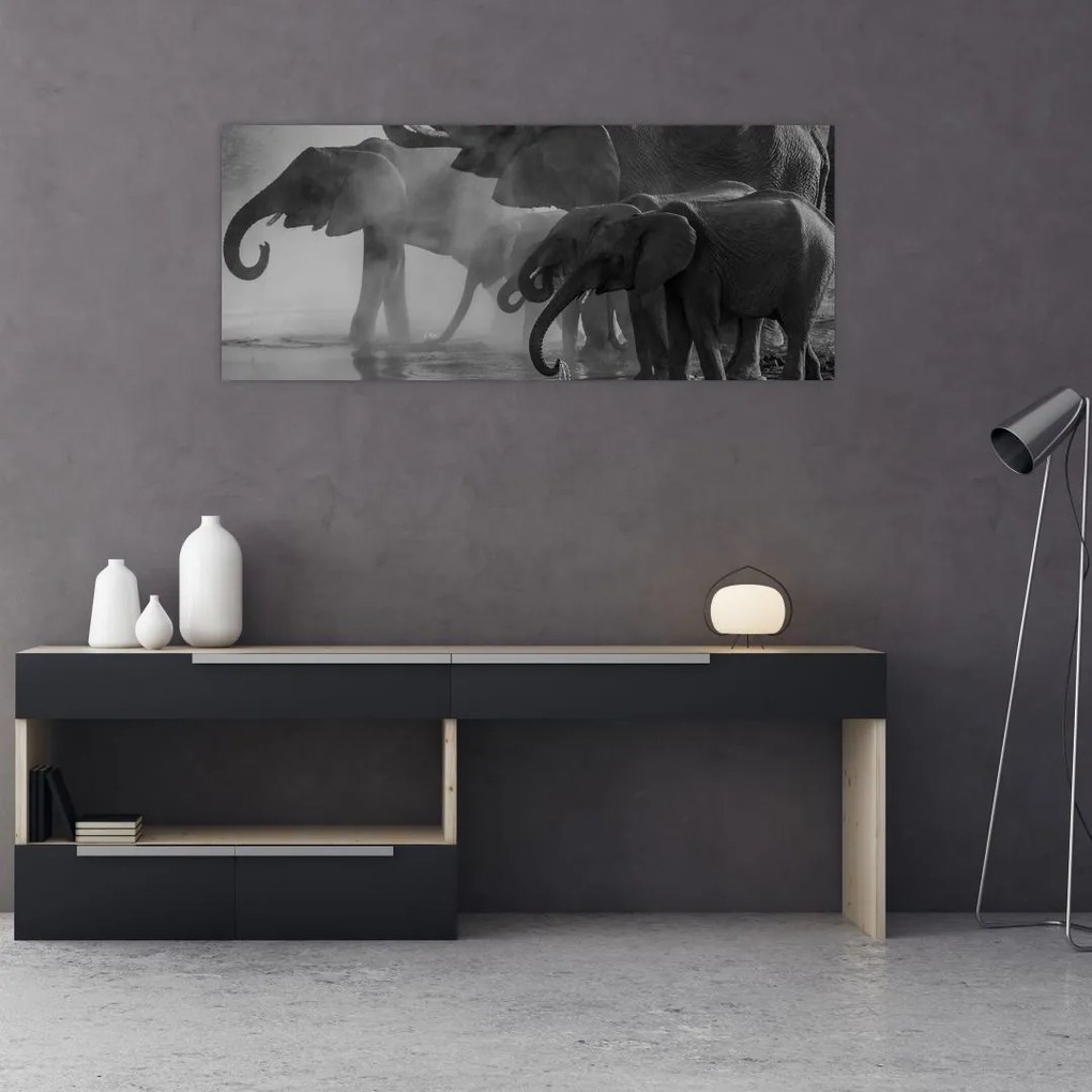 Tablou cu elefanți - albnegru (120x50 cm)