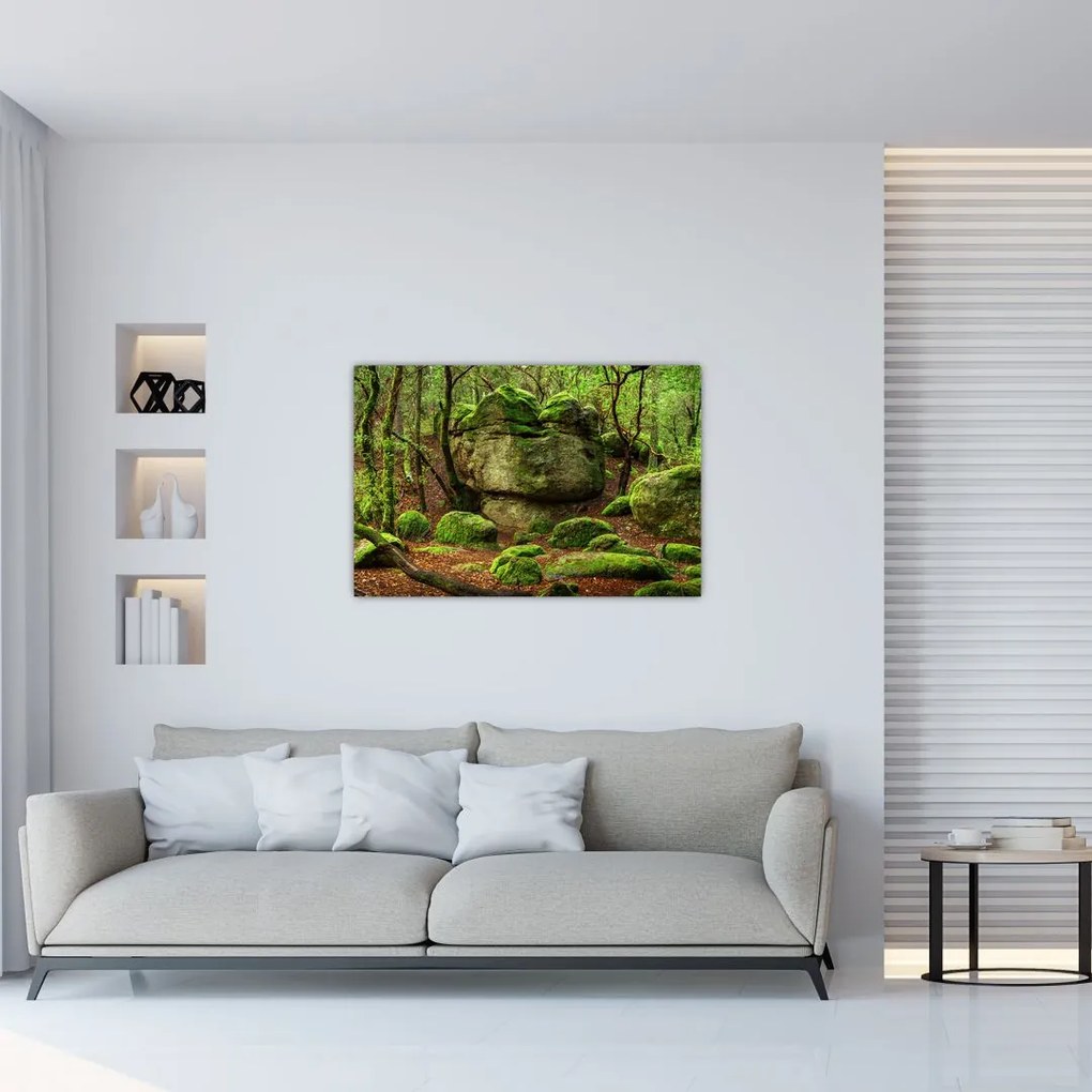 Tablou cu pădurea fermecată (90x60 cm)