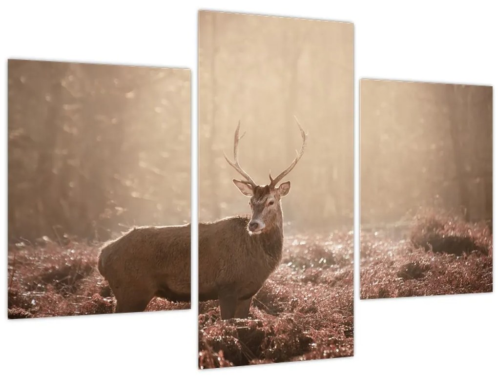 Tablou - Cerb în pădure (90x60 cm)