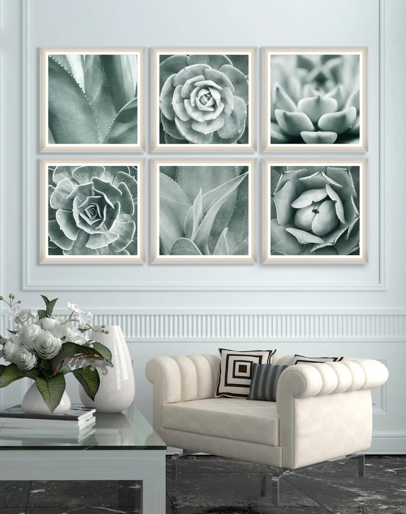 Tablou Framed Art Succulent III