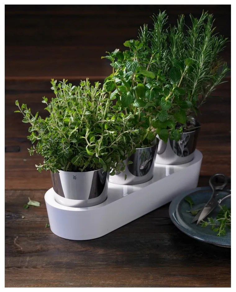 Set 3 ghivece metalice pentru ierburi aromatice WMF Gourmet