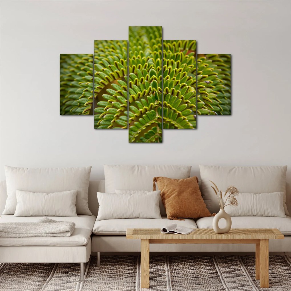 Tablou - Fern (150x105 cm)